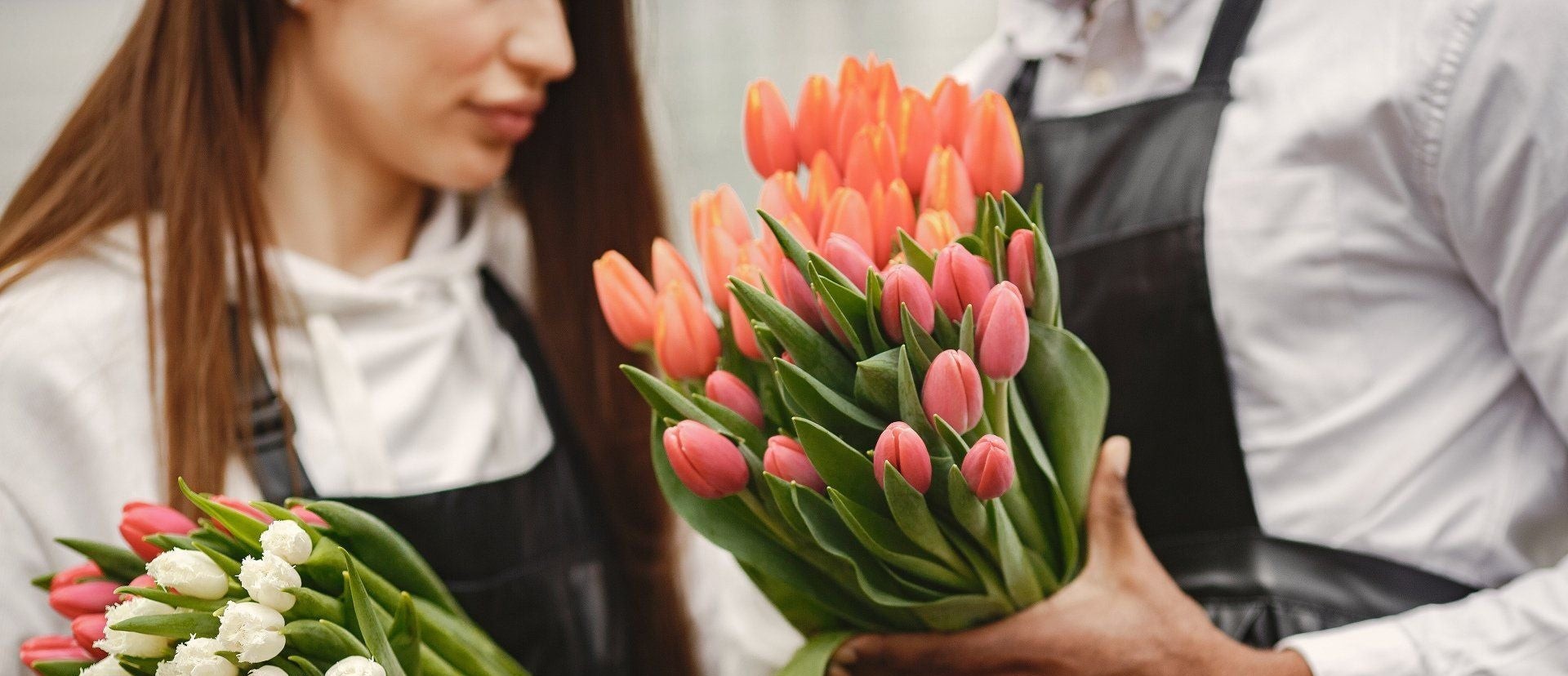 Deux fleuristes tenant des bouquets de tulipes blanches et roses à la boutique McKenna Florist à Montréal.