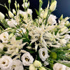 white-lisianthus-and-astilbe-floral-arrangement-elegant-luxury-montreal-florist
